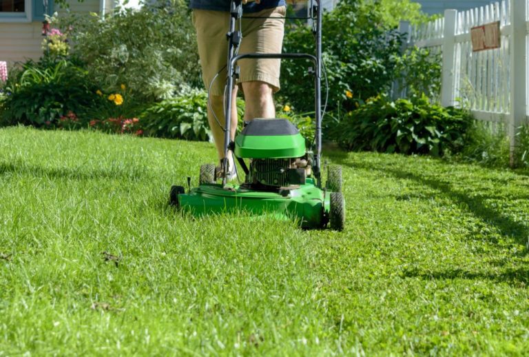 What Is The Best Time of Day to Mow Your Lawn? Perfect Lawn Guide