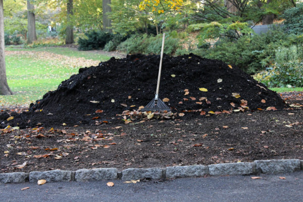 compost for topdressing lawn